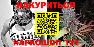 молекула духа Бердск