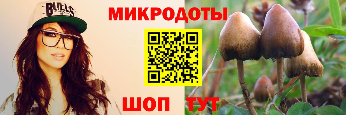 даркнет сайт  Галлюциногенные грибы мухоморы  Вход с VPN  Артём 
